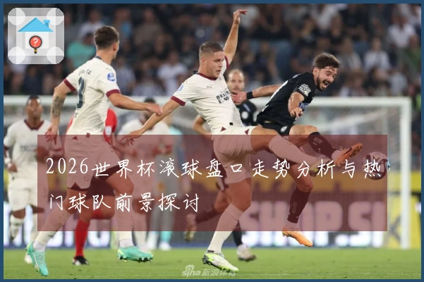 2026世界杯滚球盘口走势分析与热门球队前景探讨