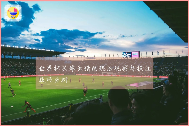 世界杯买球竞猜的玩法观察与投注技巧分析