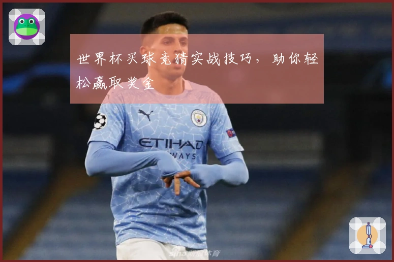 世界杯买球竞猜实战技巧，助你轻松赢取奖金