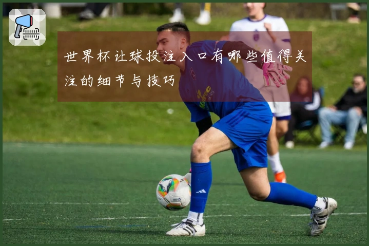 世界杯让球投注入口有哪些值得关注的细节与技巧